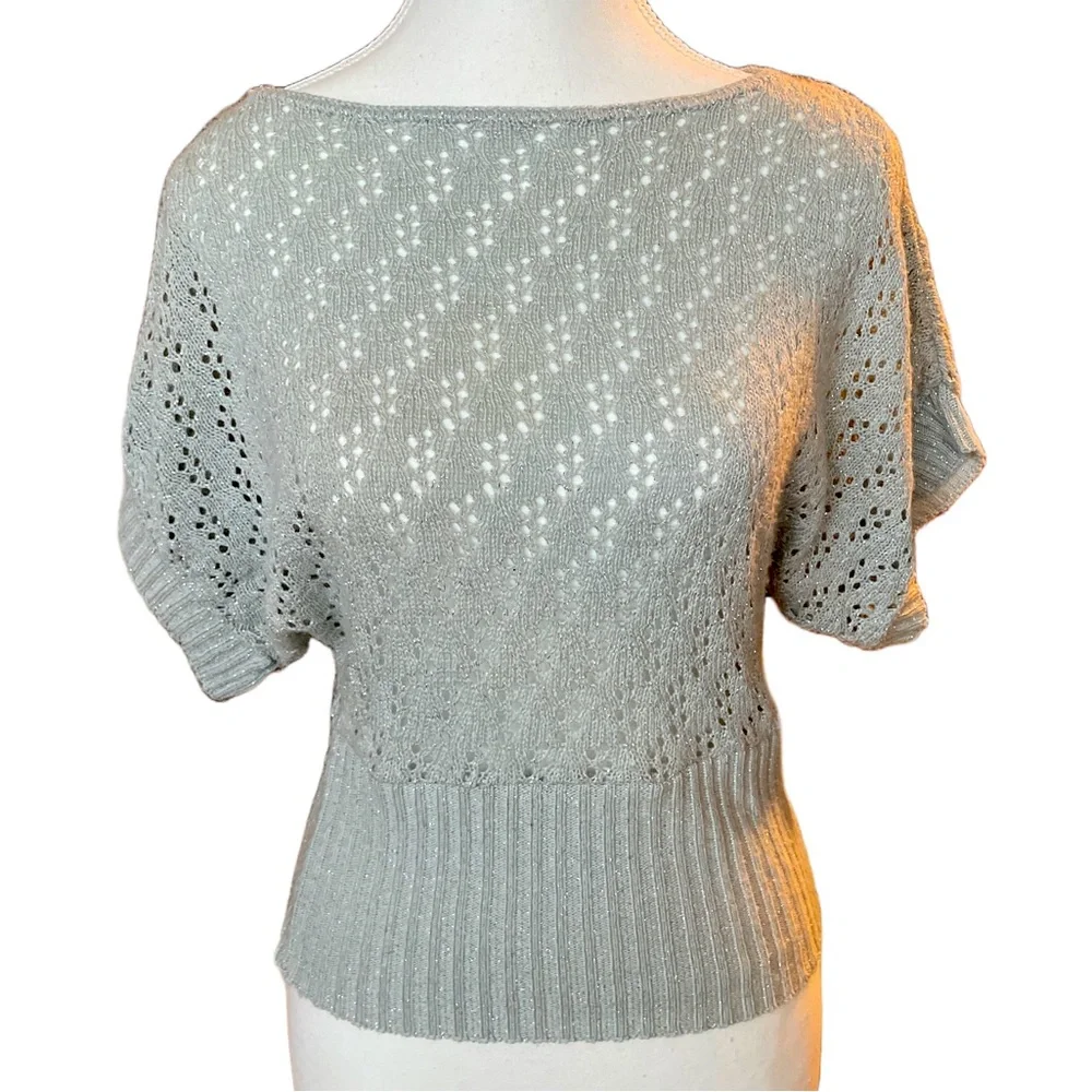 Silver Sparkly Boatneck Sweater